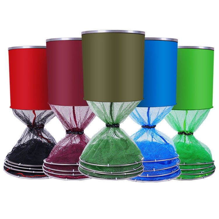 Color